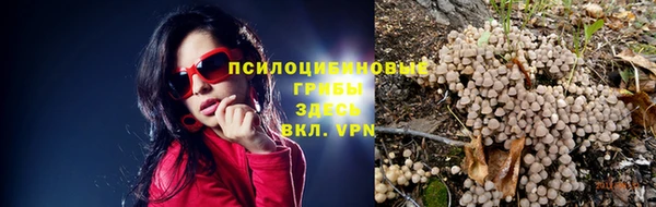 не бодяженный Каменск-Шахтинский